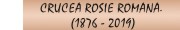 Crucea Rosie Ramana. Geneza institutionala si activitatea umanitara (1876 - 2019)
