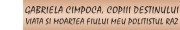 Gabriela Cimpoca, Copiii destinului. Viata si moartea fiului meu politistul Ray