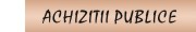 achizitii publice