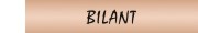 bilanturi contabile