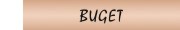 buget