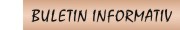 buletin informativ