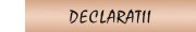declaratii avere interese