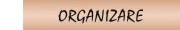 Structura organizatorica