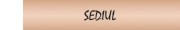 SEDIUL